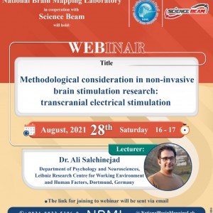 Methodological consideration in non-invasive brain stimulation research: transcranial electrical stimulation